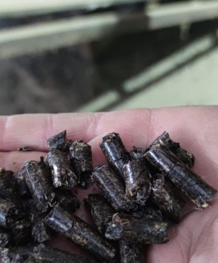 Fuel pellets, diameter 8mm, sunflower husk 85%, sunflower waste 15%