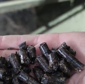 Fuel pellets, diameter 8mm, sunflower husk 85%, sunflower waste 15%